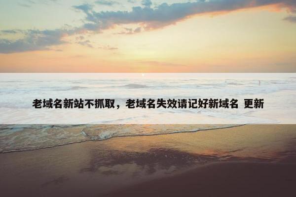 老域名新站不抓取,老域名失效请记好新域名 更新