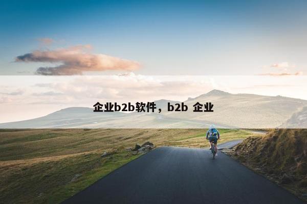 企业b2b软件,b2b 企业