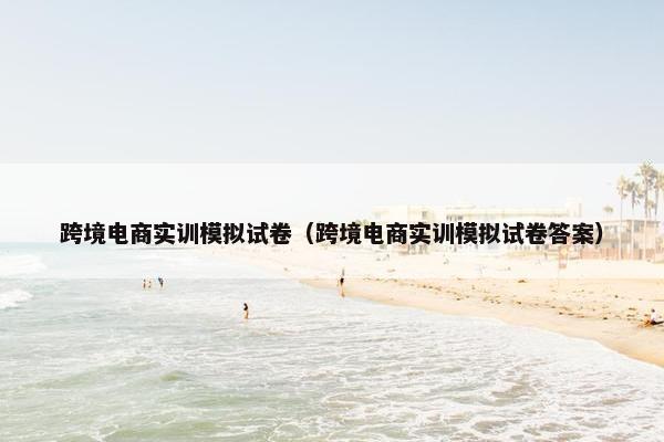 跨境电商实训模拟试卷(跨境电商实训模拟试卷答案)