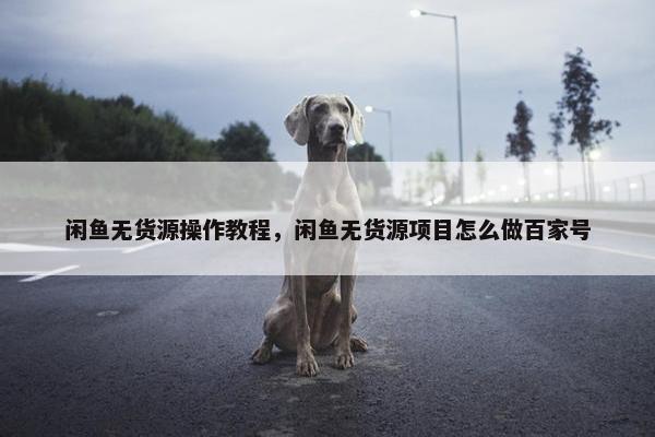 闲鱼无货源操作教程,闲鱼无货源项目怎么做百家号