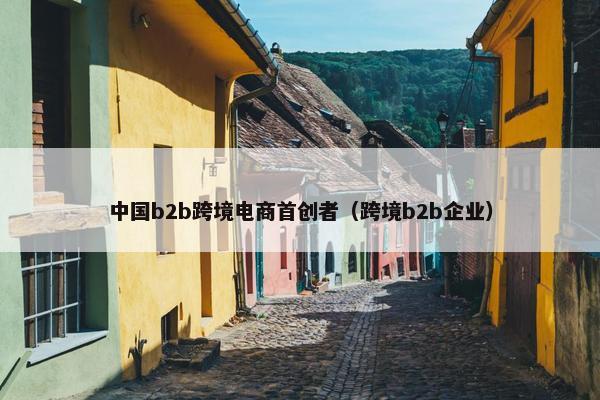 中国b2b跨境电商首创者(跨境b2b企业)