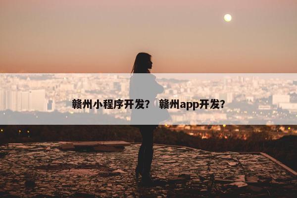 赣州小程序开发? 赣州app开发?