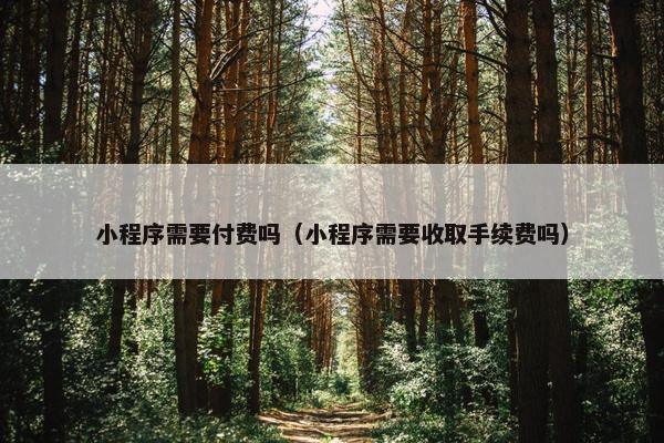 小程序需要付费吗(小程序需要收取手续费吗)