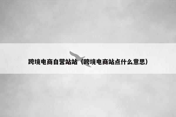 跨境电商自营站站(跨境电商站点什么意思)