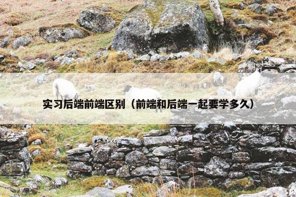 实习后端前端区别(前端和后端一起要学多久)