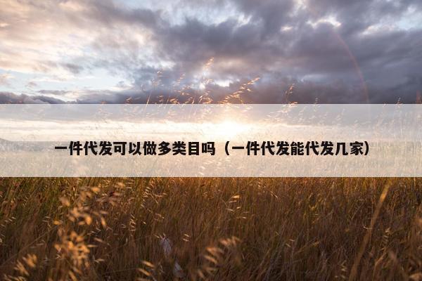 一件代发可以做多类目吗(一件代发能代发几家)