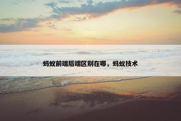 蚂蚁前端后端区别在哪，蚂蚁技术