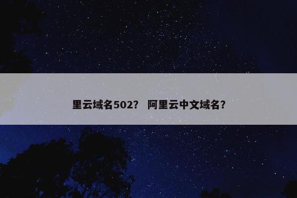 里云域名502? 阿里云中文域名?