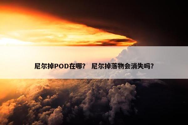 尼尔掉POD在哪？ 尼尔掉落物会消失吗？