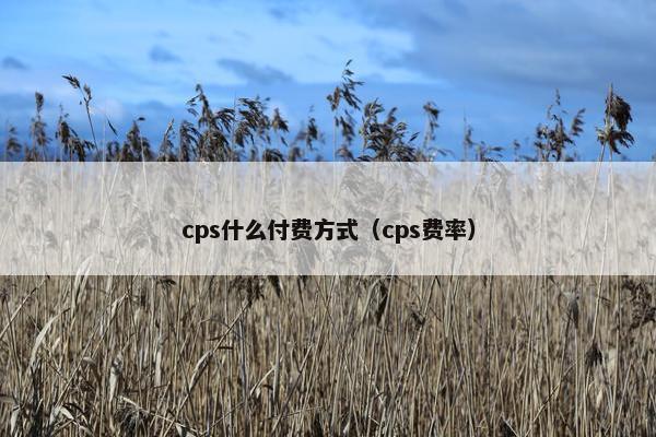 cps什么付费方式（cps费率）