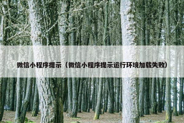 微信小程序提示(微信小程序提示运行环境加载失败)