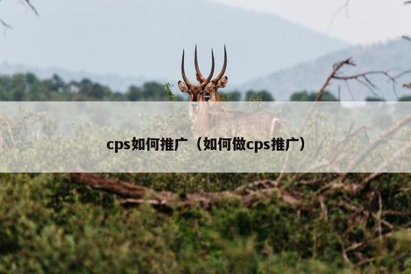cps如何推广(如何做cps推广)