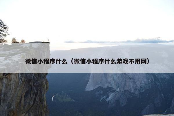 微信小程序什么(微信小程序什么游戏不用网)