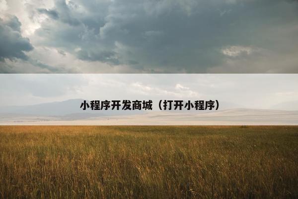 小程序开发商城（打开小程序）