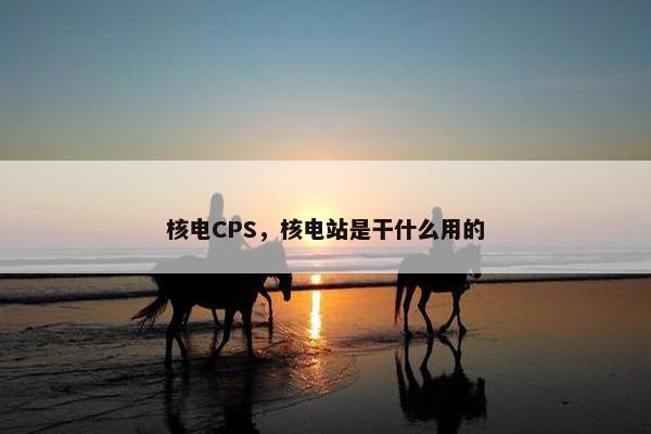 核电CPS，核电站是干什么用的