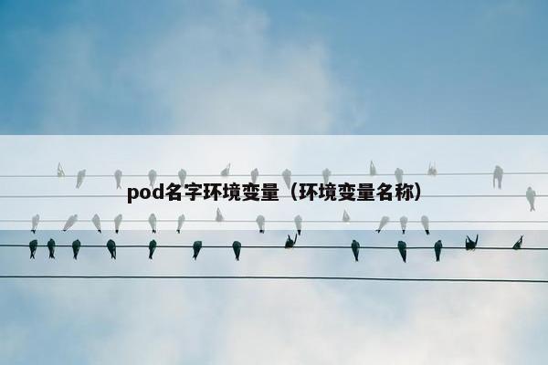 pod名字环境变量（环境变量名称）