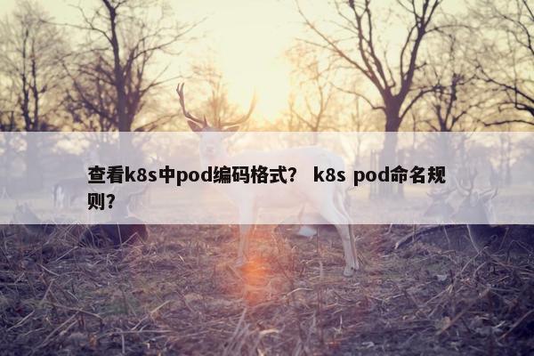 查看k8s中pod编码格式？ k8s pod命名规则？