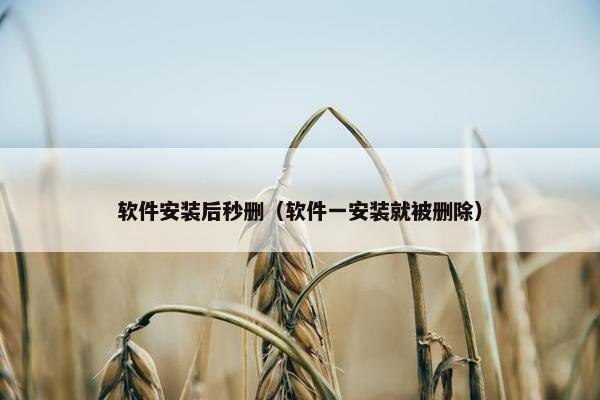 软件安装后秒删（软件一安装就被删除）