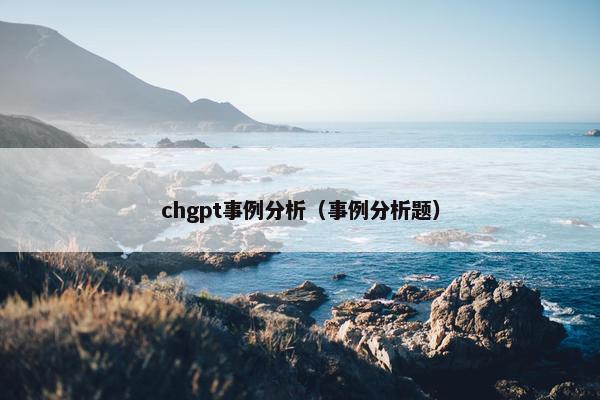 chgpt事例分析（事例分析题）