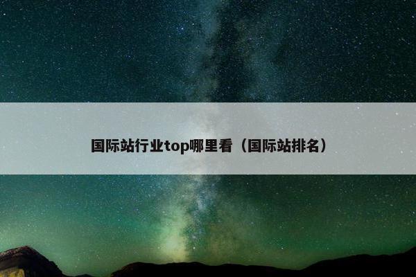 国际站行业top哪里看（国际站排名）