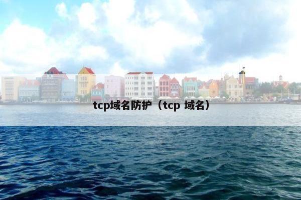 tcp域名防护（tcp 域名）