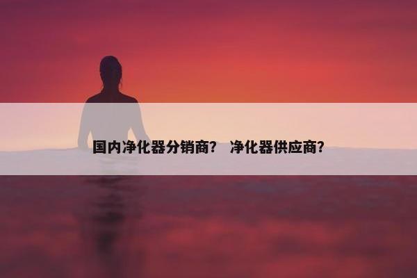 国内净化器分销商？ 净化器供应商？