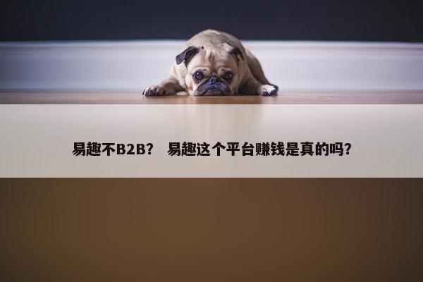 易趣不B2B？ 易趣这个平台赚钱是真的吗？