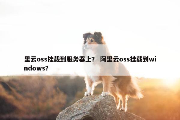 里云oss挂载到服务器上？ 阿里云oss挂载到windows？