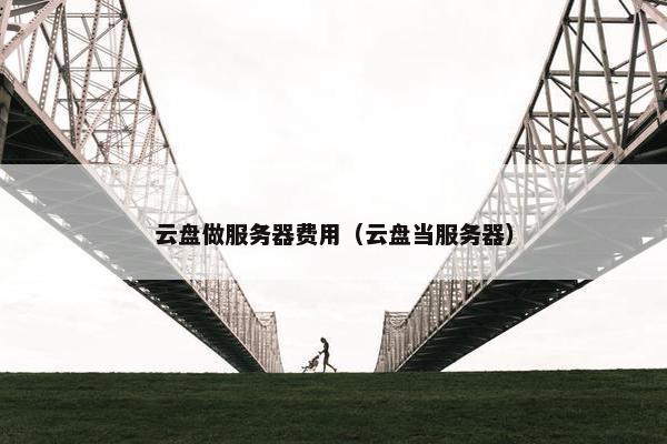 云盘做服务器费用（云盘当服务器）