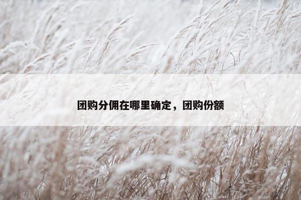 团购分佣在哪里确定，团购份额