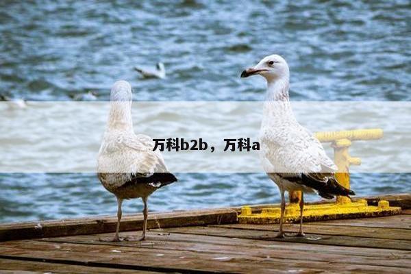 万科b2b，万科a