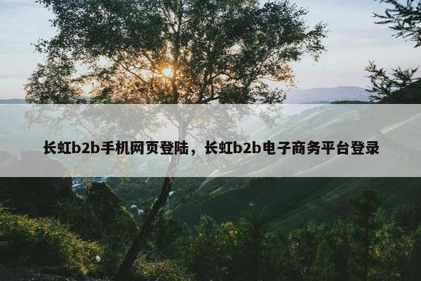 长虹b2b手机网页登陆，长虹b2b电子商务平台登录