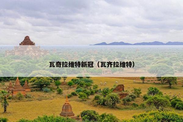 瓦奇拉维特新冠（瓦齐拉维特）