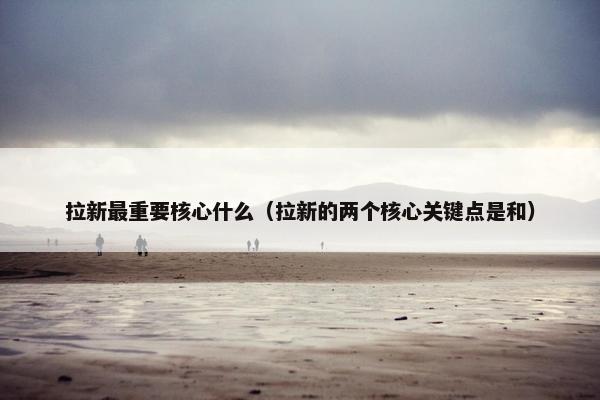 拉新最重要核心什么（拉新的两个核心关键点是和）