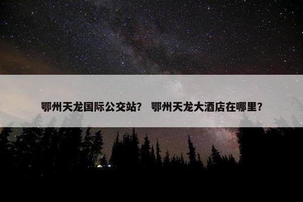 鄂州天龙国际公交站？ 鄂州天龙大酒店在哪里？