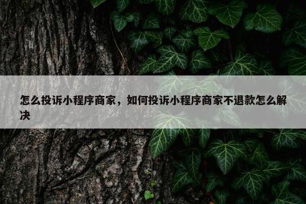 怎么投诉小程序商家，如何投诉小程序商家不退款怎么解决