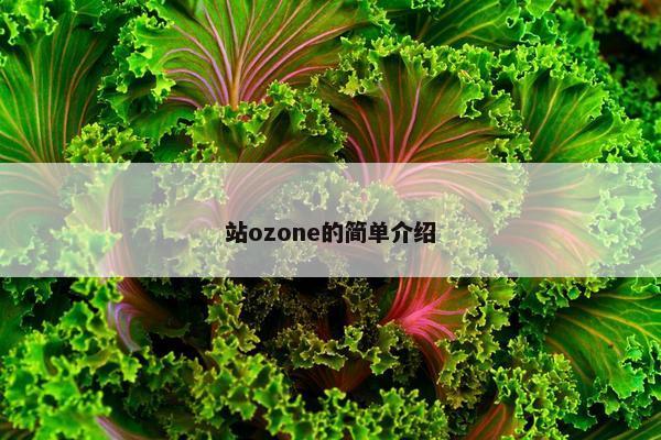 站ozone的简单介绍