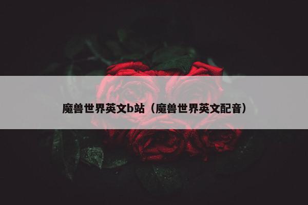 魔兽世界英文b站（魔兽世界英文配音）