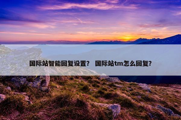 国际站智能回复设置？ 国际站tm怎么回复？