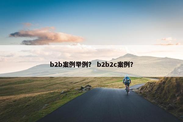 b2b案例举例？ b2b2c案例？