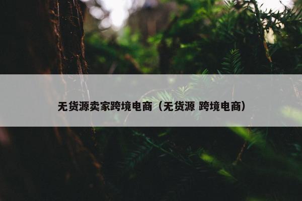 无货源卖家跨境电商（无货源 跨境电商）