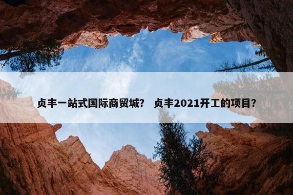 贞丰一站式国际商贸城？ 贞丰2021开工的项目？