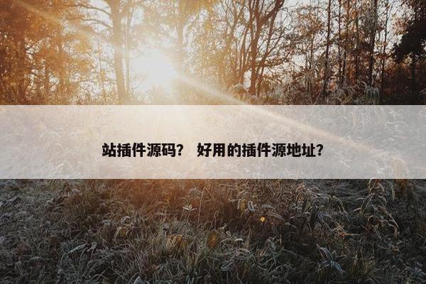 站插件源码？ 好用的插件源地址？